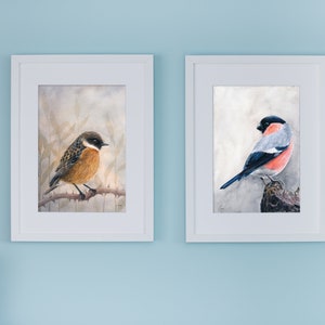 Op de afbeelding: Twee ingelijste vogelprints. E&eacute;n toont een kleine vogel met bruine en oranje veren op een tak. De andere toont een vogel met rode, grijze en zwarte veren. Beide zitten in witte lijsten tegen een lichtblauwe muur.