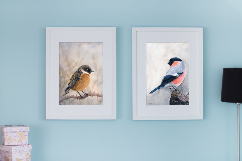Op de afbeelding: Twee ingelijste vogelprints. E&eacute;n toont een kleine vogel met bruine en oranje veren op een tak. De andere toont een vogel met rode, grijze en zwarte veren. Beide zitten in witte lijsten tegen een lichtblauwe muur.