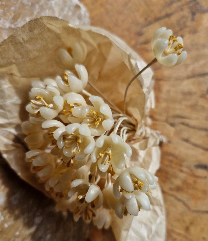 Antique French Millinery Wax Flowers-1920s to 30s Wax Flower Bridal Flowers Deadstock French Millinery Flowers image 6