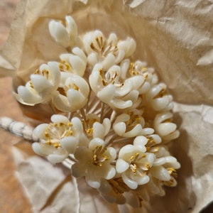 Fleurs de chapellerie françaises antiques des années 1920 à 30 fleurs en cire fleurs de mariée animaux morts fleurs de chapellerie Français image 1