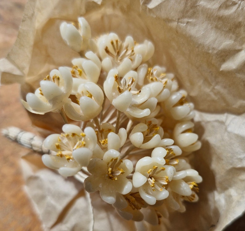 Fleurs de chapellerie françaises antiques des années 1920 à 30 fleurs en cire fleurs de mariée animaux morts fleurs de chapellerie Français image 1