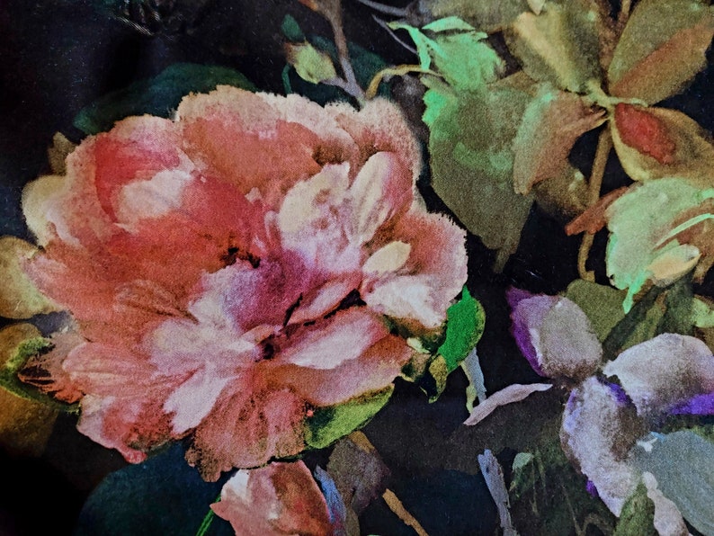 May include: A watercolor painting of pink and white flowers with green leaves on a black background.