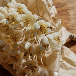 Antique French Millinery Wax Flowers-1920s to 30s Wax Flower Bridal Flowers Deadstock French Millinery Flowers image 8