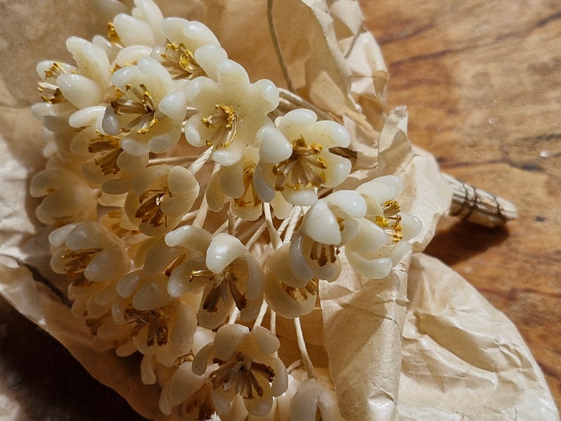 Fleurs de chapellerie françaises antiques des années 1920 à 30 fleurs en cire fleurs de mariée animaux morts fleurs de chapellerie Français image 8