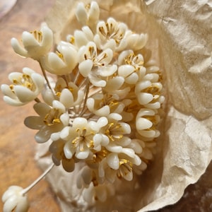 Fleurs de chapellerie françaises antiques des années 1920 à 30 fleurs en cire fleurs de mariée animaux morts fleurs de chapellerie Français image 4