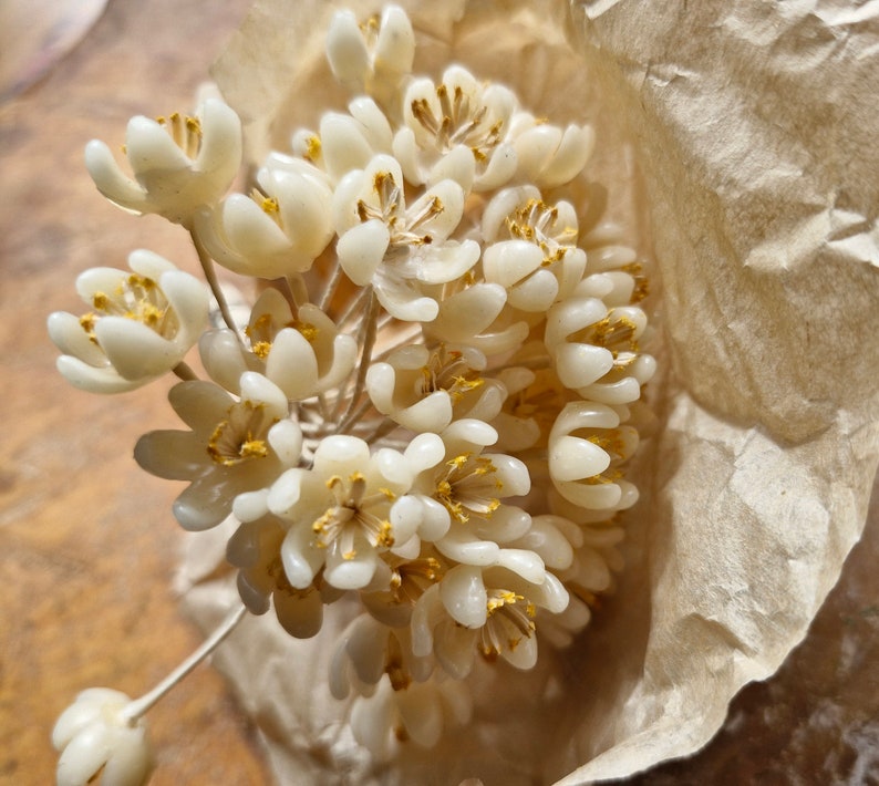 Antique French Millinery Wax Flowers-1920s to 30s Wax Flower Bridal Flowers Deadstock French Millinery Flowers image 4