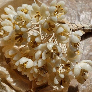 Antique French Millinery Wax Flowers-1920s to 30s Wax Flower Bridal Flowers Deadstock French Millinery Flowers image 9