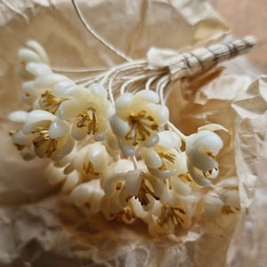 Antique French Millinery Wax Flowers-1920s to 30s Wax Flower Bridal Flowers Deadstock French Millinery Flowers image 2