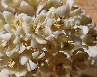 Antique French Millinery Wax Flowers-1920s to 30s Wax Flower Bridal Flowers- Deadstock French Millinery Flowers