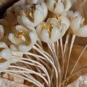 Fleurs de chapellerie françaises antiques des années 1920 à 30 fleurs en cire fleurs de mariée animaux morts fleurs de chapellerie Français image 7