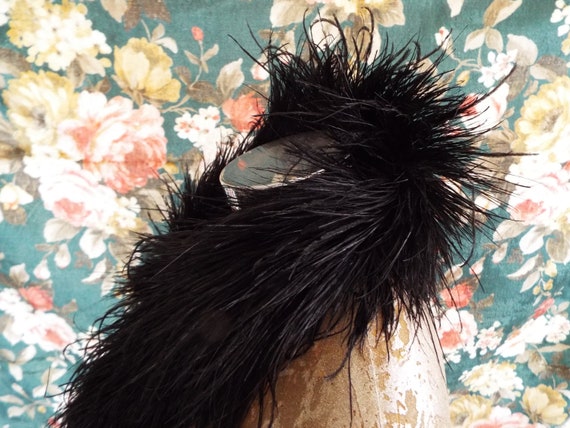 Antique Feather Boa~1900s Ostrich Feather Boa~Lat… - image 8