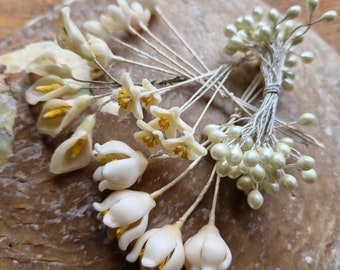 Antique French Millinery Wax Flowers-1920s, 1930s Wax Flowers-French Wax Flower Collection with Pearlised Wax Stamens