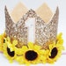 see more listings in the Baby Birthday Crowns section
