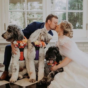 Dog Flower Garland, Silk Flower Wedding Collar, Custom Ribbon Sash Neck Accessory, Ceremony Collar, Floral Pet Collar
