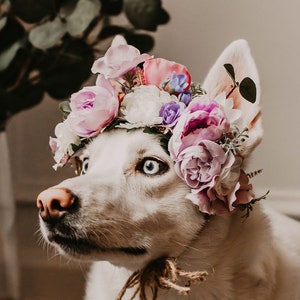 Flower Crown for Dog, Pet Wedding, Dog Floral Wreath, Dog Flower Crown, Dog Photo Shoot, Dog Wedding Flowers, Ring Bearer Puppy Dog