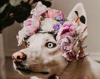 Couronne de fleurs pour chien, mariage d’animaux de compagnie, couronne florale de chien, couronne de fleur de chien, séance photo de chien, fleurs de mariage de chien, porteur d’anneau chiot chien