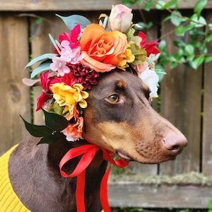 Pet Wedding, Custom Dog Floral Wreath, Dog Flower Collar, Dog Photo Shoot, Dog Wedding Flowers, Puppy Floral Collar, Ring Bearer Dog