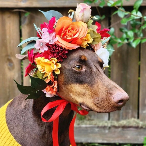 Boda de mascotas, Corona floral de perro personalizada, Collar de flores de perro, Sesión de fotos de perro, Flores de boda de perro, Collar floral de cachorro, Perro portador de anillo