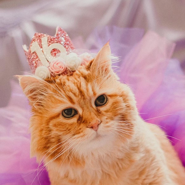Cat Birthday Party Hat, Cat Birthday Crown, Birthday Party Hat for Kitty Cat, Girl Cat Birthday Outfit, Cat Flower Crown for Kitty Girl Cat