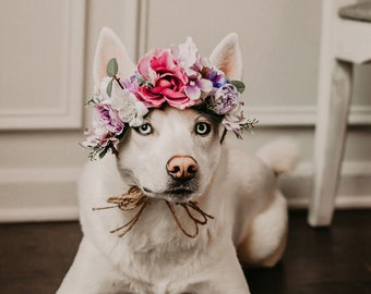 Dog Flower Crown for Photos, Gift for Dog Birthday, Dog First Birthday Photos, Dog Crown, Mommy and Dog Flower Crown, Dog Photos