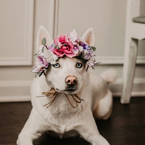 Dog Flower Crown for Photos, Gift for Dog Birthday, Dog First Birthday Photos, Dog Crown, Mommy and Dog Flower Crown, Dog Photos