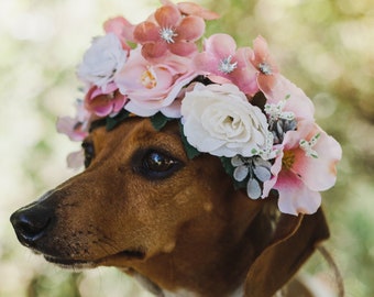 Floral Crown for Dog, Wedding Dog Photos, Dog Photographer, Pet Flower Crown, Flower Crown, Engagement Photos with Dog, Pet Accessories