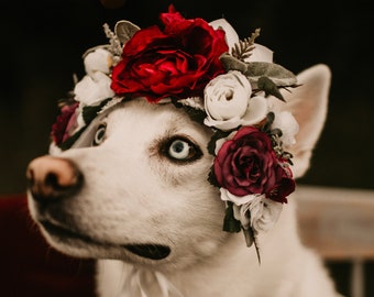 Couronne de fleurs de chien de Noël, couronne de chien, couronne de vacances pour chien, couronne de fleurs de mariage, séance photo de chien, rouge blanc bordeaux, photo de Noël de chien