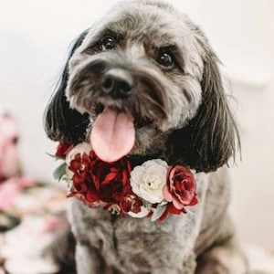 Dog Flower Collar, Dog Wedding Flower Collar, Dog flower wreath, Dog wedding collar, Wedding decor, Dog of Honor, Dog wedding Sign