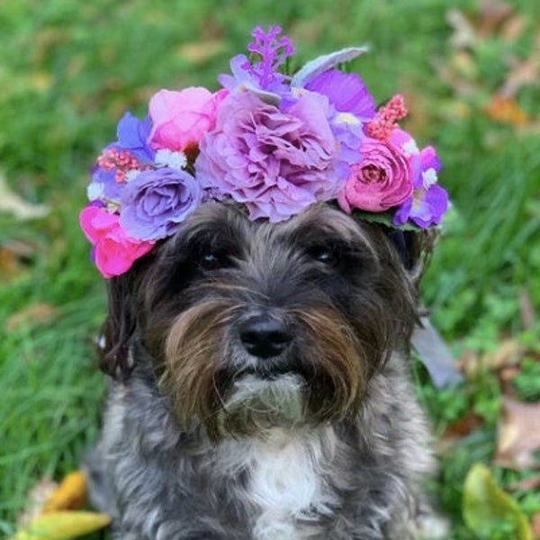 Dog Wedding Outfit Floral Tiara Puppy Dog Ring Bearer Flower Crown. Pet Floral Crown Dog Photography Pet Photos Wedding Flower Crown
