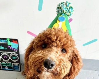 Dog Birthday Hat, Green & Yellow, Cake Smash Hat, Boy Dog Party Hat, Dogs First Birthday, Pet Birthday, Photo Prop, Spaceship Hat