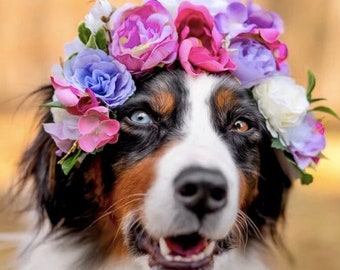 Dog flower collar Dog Flower Crown, Dark Pink fall flower wreath, Flower Crown, Dog flower wreath, Dog flower Collar, Wedding Flower Crown