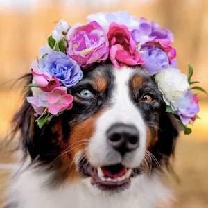 Dog flower collar Dog Flower Crown, Dark Pink fall flower wreath, Flower Crown, Dog flower wreath, Dog flower Collar, Wedding Flower Crown