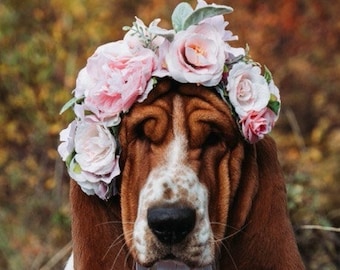 Couronne de fleur pour chien, fille de fleur de chien, couronne de fleur de chien, couronne de chien, accessoires de tête de grand chien, bandeau de chien, rose blush et blanc