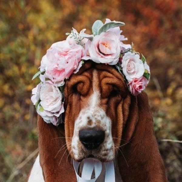 Flower Crown for Dog, Dog Flower Girl, Dog Flower Crown, Dog Crown, Large Dog Head Accessories, Dog Headband, Blush Pink and White