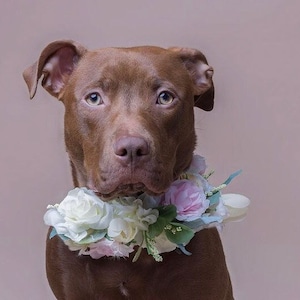 White Roses Dog Wedding Wreath Wedding Flower Wreath, Dog Floral Wedding Wreath, Engagement Announcement Flower Wreath