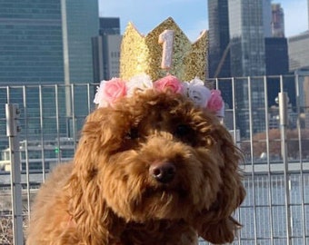 Chapeau de fête pour animaux de compagnie, couronne d’anniversaire pour animaux de compagnie, couronne de grand chien, couronne d’anniversaire de chien de fille, décor d’anniversaire or et rose, grand chapeau d’anniversaire pour animaux de compagnie, chien