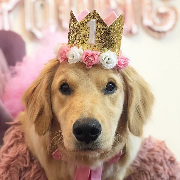 Corona de cumpleaños de mascota personalizada, corona de perro, sombrero de fiesta de cumpleaños de perro grande, corona de mascota personalizada, corona de fiesta de perro grande, sombrero de cumpleaños de perro