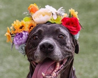 Dog Party Hat Flower Crown I Senior Dog Flower Crown I Dog Birthday Photos I Dog Crown I Pet Flower Crown I Pet Photos