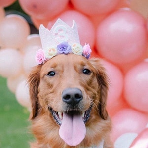 Birthday Crown, Dog Party Hat, Dog Birthday, Girl Birthday Dog, Dog Birthday Photos, Party Hat Crown