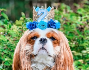 Dog Birthday Crown, Pet Birthday Crown, Dog Crown, Pet Crown Dog Party Hat, Dog Birthday Party Crown, Any Age, Gold and Blue