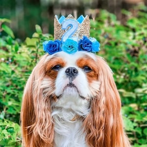 Dog Birthday Crown, Pet Birthday Crown, Dog Crown, Pet Crown Dog Party Hat, Dog Birthday Party Crown, Any Age, Gold and Blue