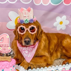 Dog Birthday Crown, Pet Birthday Crown, Dog Crown, Pet Crown Dog Party Hat, Dog Birthday Party Crown, Blush Pink and White Crown, Girl Dog