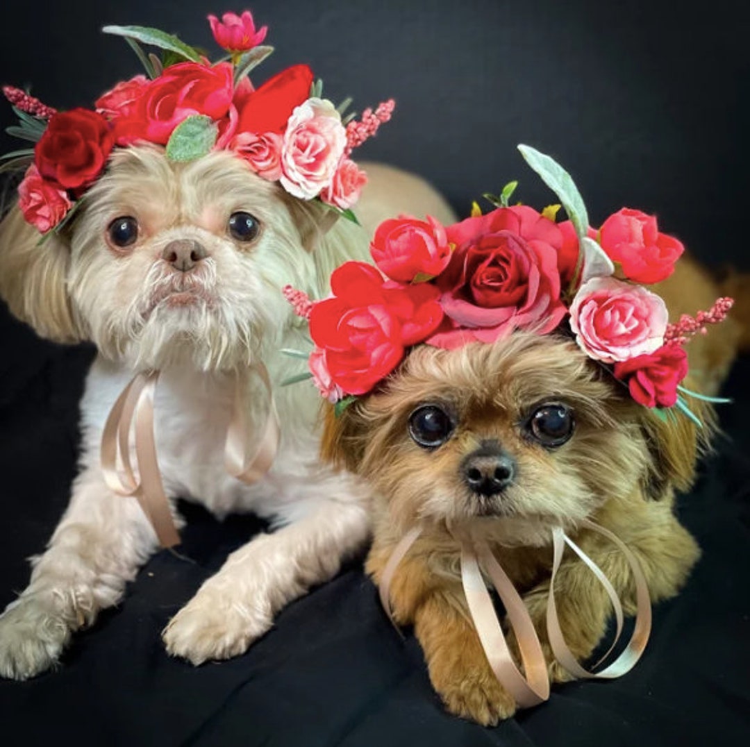 Dog Flower Costume, Custom Dog Flower Crown, Dog Flower Girl, Dog Ring
