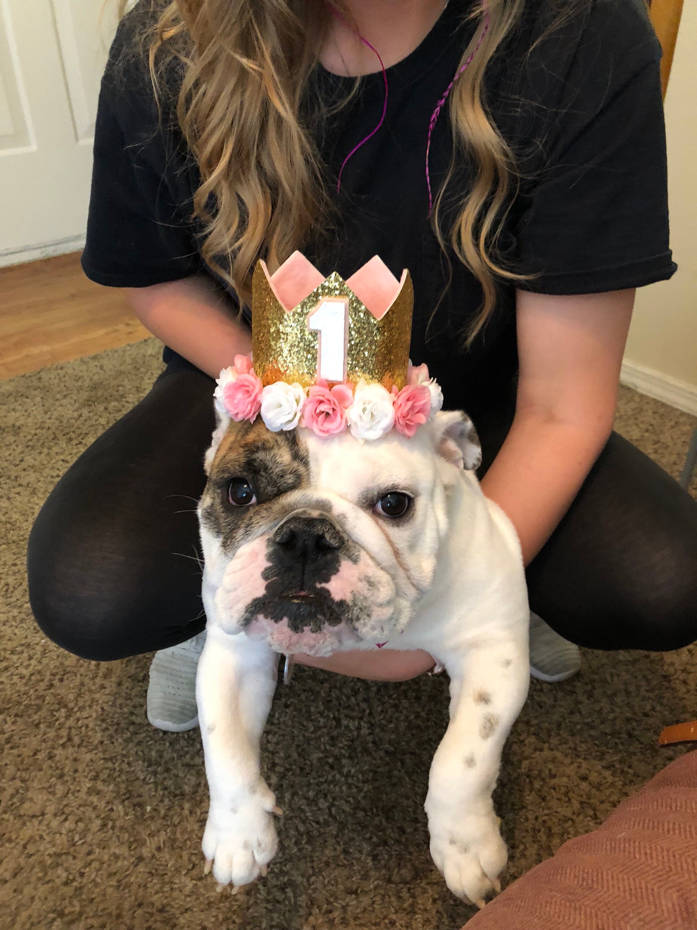 dog first birthday hat