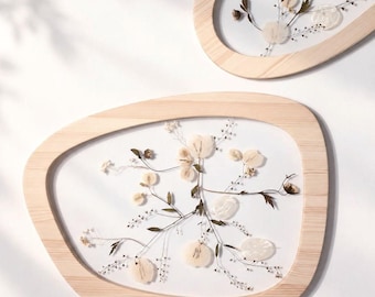 Sculptural Wall Art with Pressed Lunaria, Organic Wood Frame, Single or Set of 3