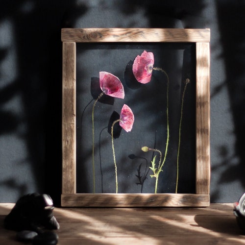 Glass Pressed Round Circle Flower Frame Gypsophila Babys Etsy