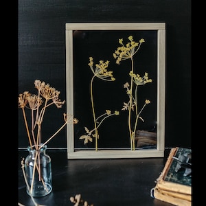Dill Blossom - Huge Wall decor 13x18" - Pressed Flower frame - Herbarium  - Botanical Art - Pressed flower art