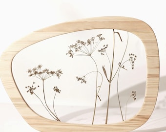 Pressed Dill Flower Frame, White Botanical Wall Art, Single Frame or Set of 3