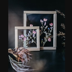 Framed wall art Set - Framed Botanicals - Real dried flowers - Real Pressed Flowers - Herbarium - Pressed flower frame - Wall decor Set