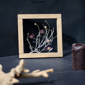 Pressed flower wall art 8x8" - Real Botanicals - Pressed flowers frame - Botanical Art - framed floral wall art - frame wall art -Wall decor